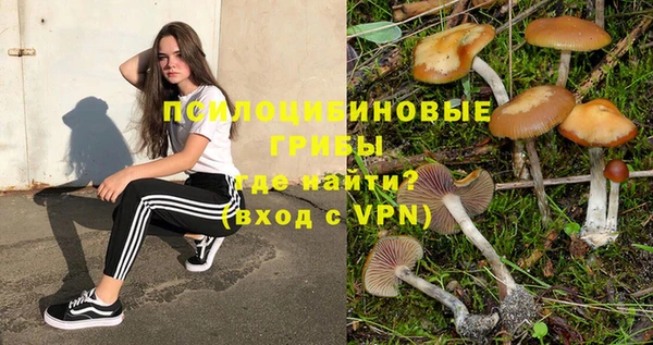 синтетический гашиш Армянск